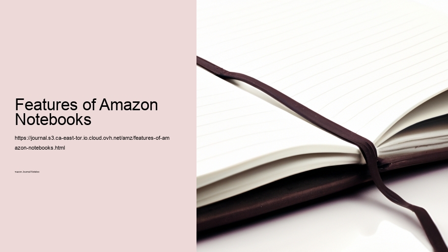 Features of Amazon Notebooks