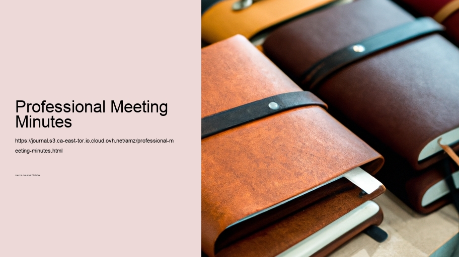 Professional Meeting Minutes